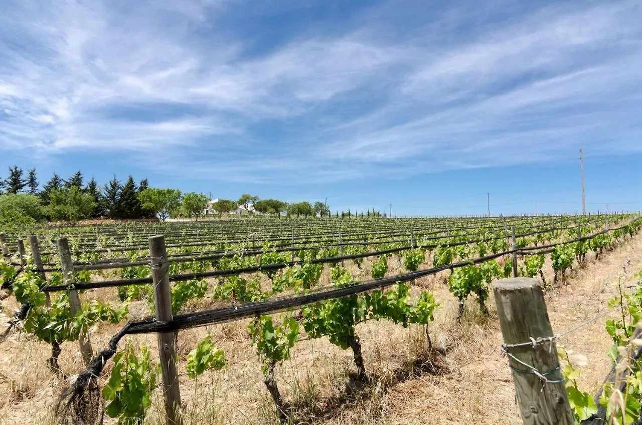 Séjour à la ferme Casas Na Vinha - Monte Da Casteleja, Wine Estate - Eco Turismo Rural Lagos