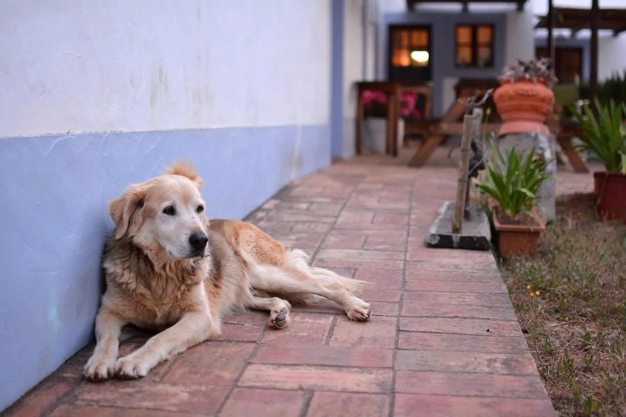 Κατάλυμα σε φάρμα Casas Na Vinha - Monte Da Casteleja, Wine Estate - Eco Turismo Rural Λάγος