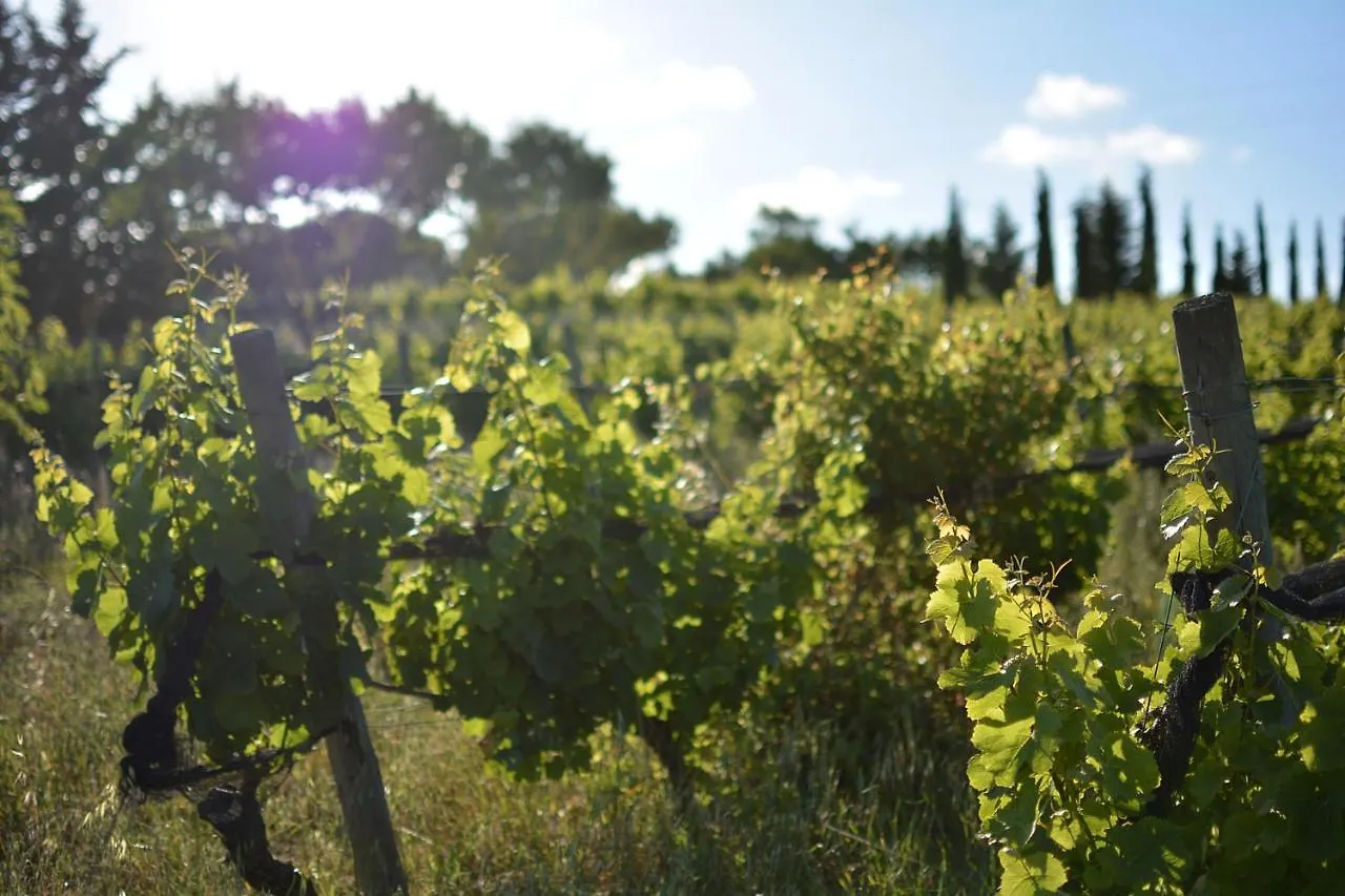Casas Na Vinha - Monte Da Casteleja, Wine Estate - Eco Turismo Rural Λάγος Κατάλυμα σε φάρμα